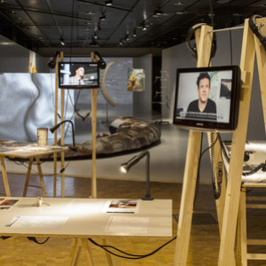 DISPLACEMENTS - ART, SCIENCE AND THE DNA OF THE IBEX